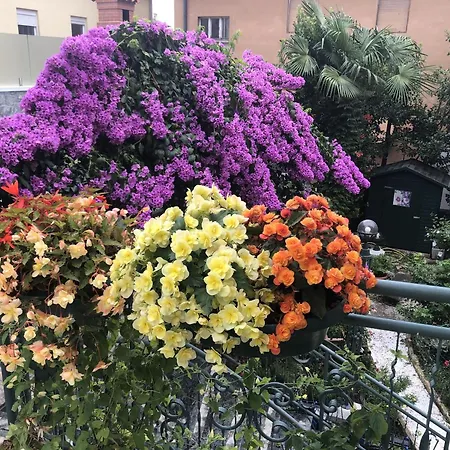 Apartment Antonija Opatija
