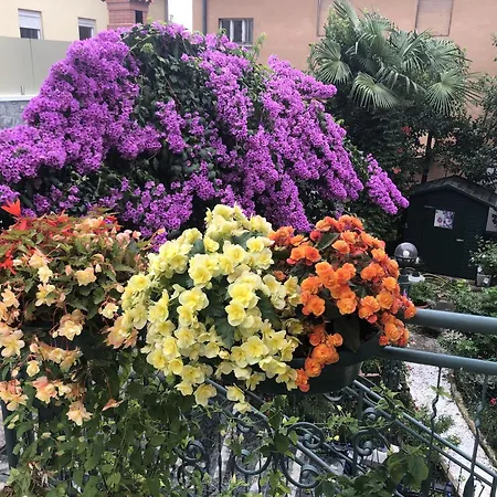 Apartment Antonija Opatija